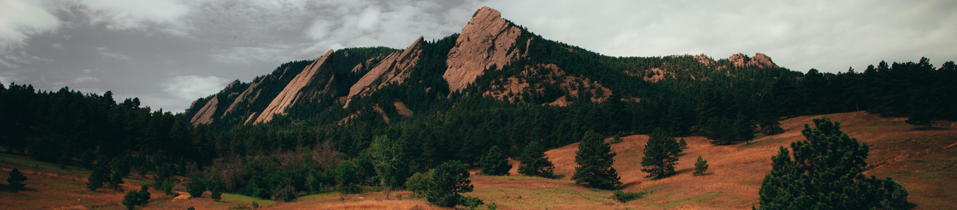 CHQ Rocky Mountains and Wooded Regions