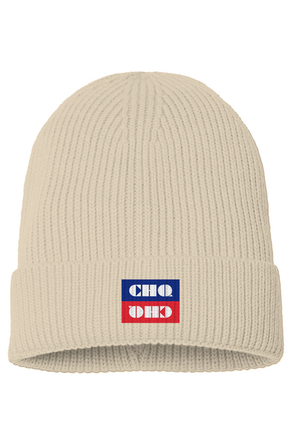 Red vs Blue Beanie Hat