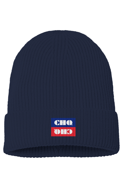 Red vs Blue Beanie Hat